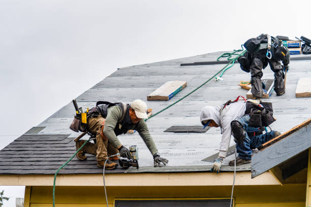 Professional Emergency Roof Repair technician working in Falkner, MS